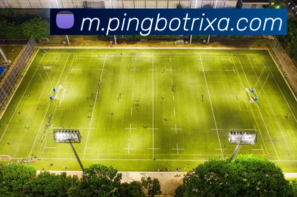 平博体育APP 封面图